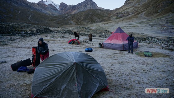 Camp8 