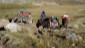 11.Tag Paso-Yaucha-4800m-Lag (4)